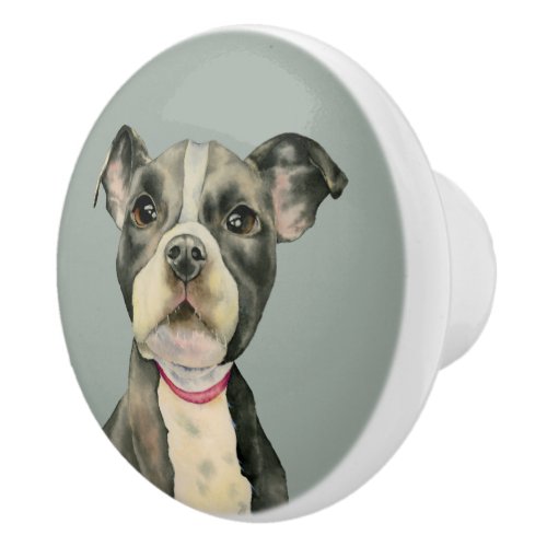 Puppy Eyes Pit Bull Dog Watercolor Painting Ceramic Knob
