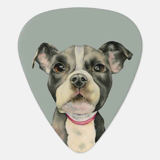 "Puppy Eyes" Pit Bull Dog Watercolor Painting Guitar Pick (Front)
