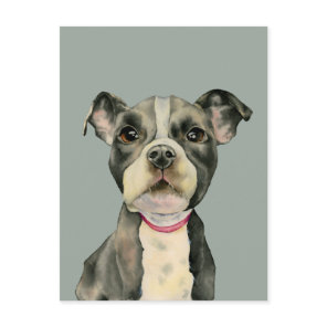"Puppy Eyes" Pit Bull Dog Watercolor Painting Postcard