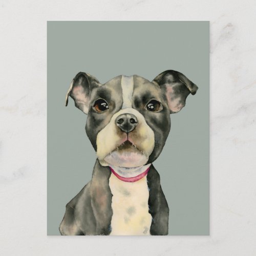 Puppy Eyes Pit Bull Dog Watercolor Painting Postcard