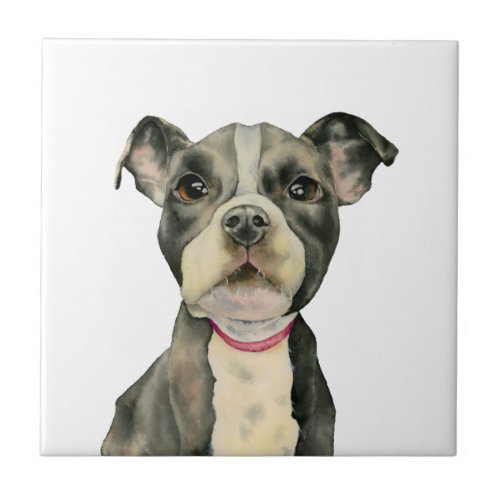 Puppy Eyes Pit Bull Dog Watercolor Painting Tile