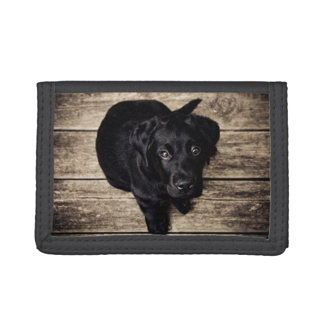 Puppy Eyes Tri-fold Wallet (Front)