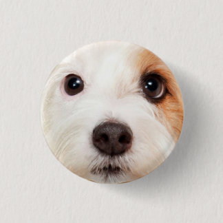 Puppy Face Button