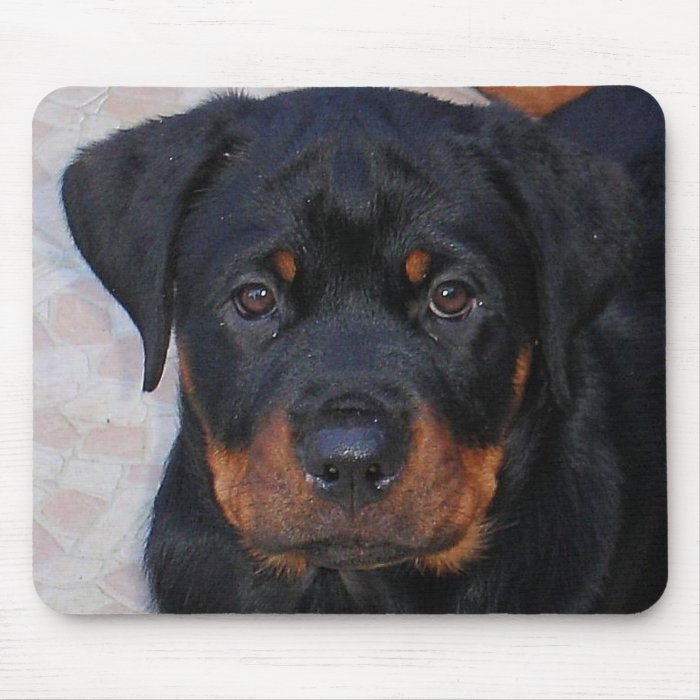 Puppy Face Mousepads