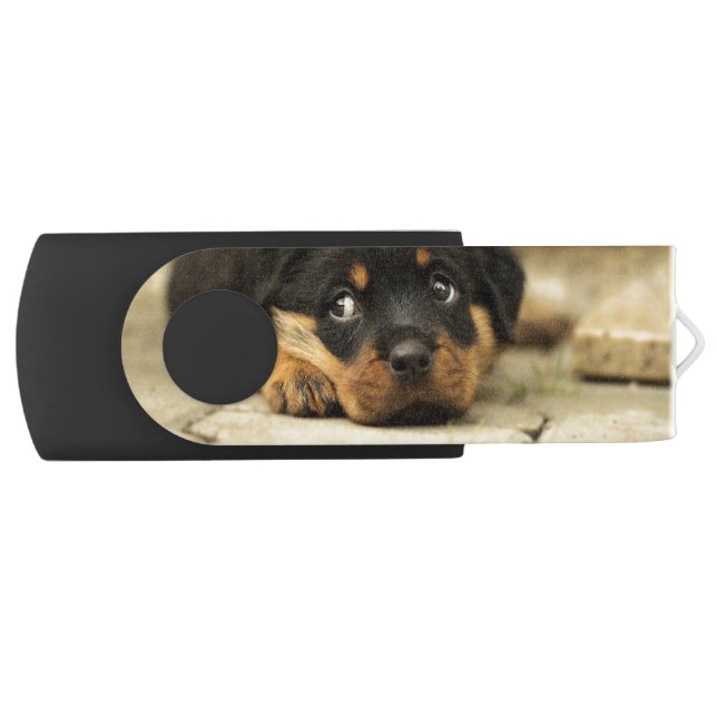Puppy Flash Drive (Front)