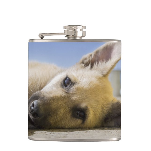 Puppy Flask (Front)