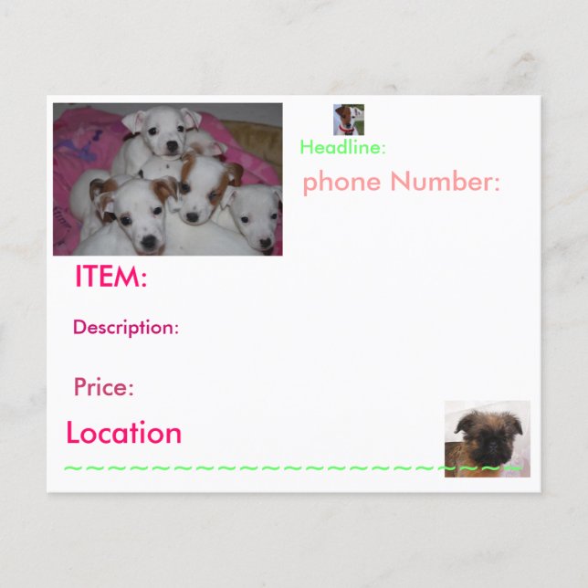 Puppy Flyers (Front)