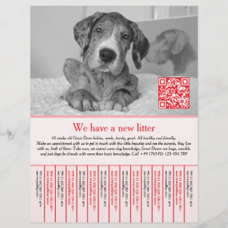 puppy flyers red