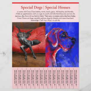 puppy for sale flyer templates