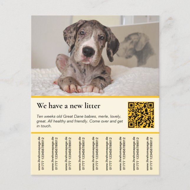 puppy for sale flyer templates (Front)