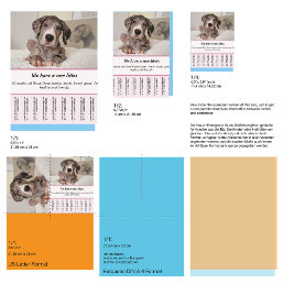 puppy for sale flyer templates