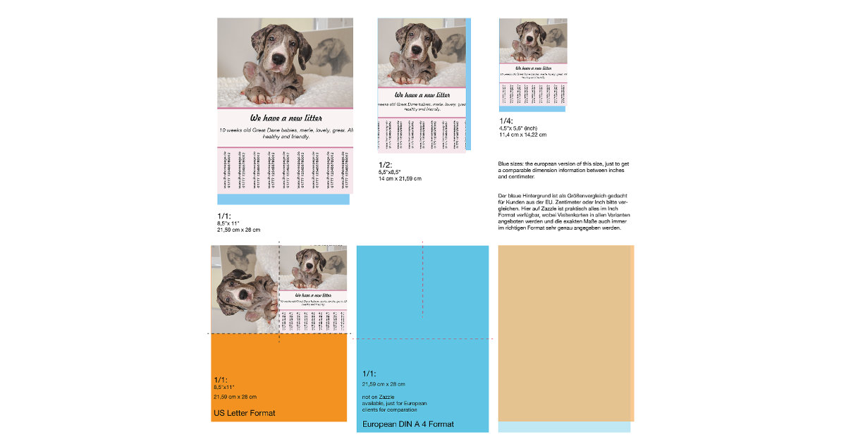 puppy for sale flyer templates Zazzle