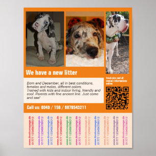 Puppy for sale flyer with QR code Poster