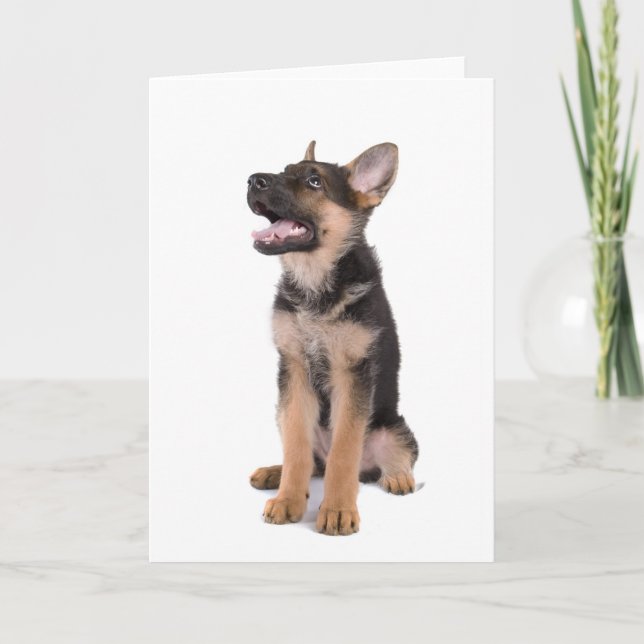 puppy German shepherd Card (Front)
