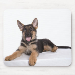 puppy German shepherd Mouse Pad