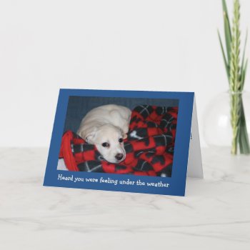 Puppy Get Well Card by Considernature at Zazzle