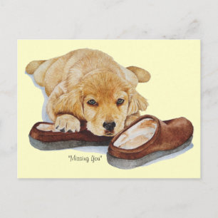 puppy golden retriever dog portrait missing you postcard