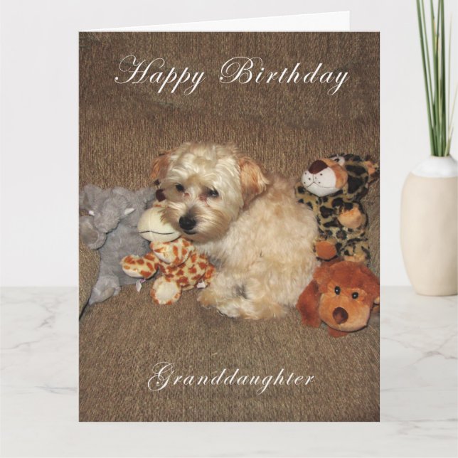 Puppy Granddaughter Birthday Card (Front)