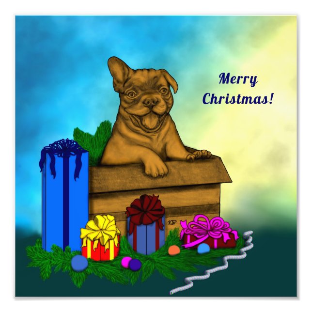 Puppy in A Box , Merry Xmas Photo Print (Front)