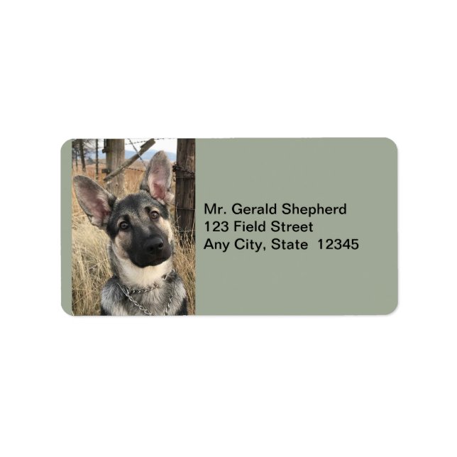 Puppy in a Field Address Labels (Front)