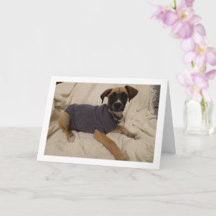 Puppy in a Jumper Card