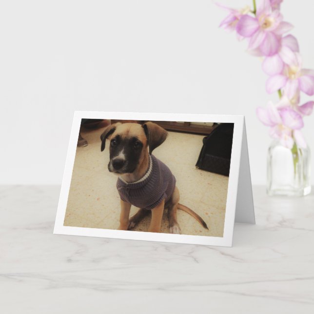 Puppy in a Jumper Card (Orchid)