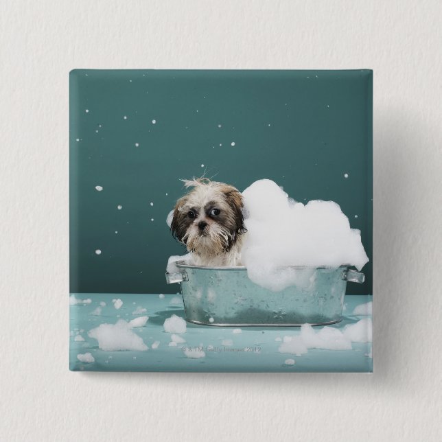 Puppy in foam bath pinback button (Front)