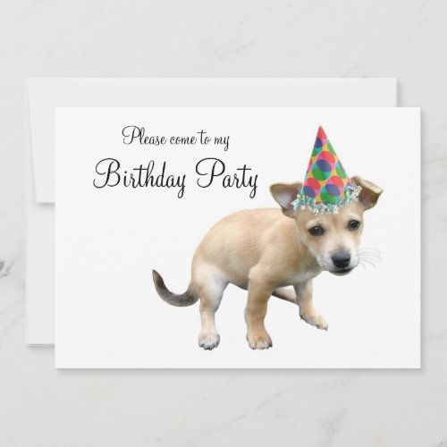 Puppy in Party Hat Birthday Invitation