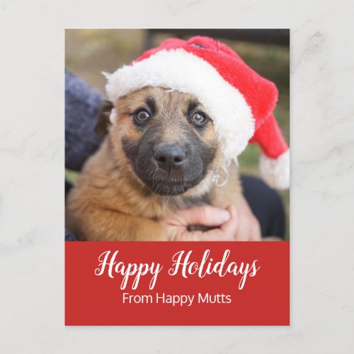 Puppy In Santa Hat Dog Care Business Holiday Postcard