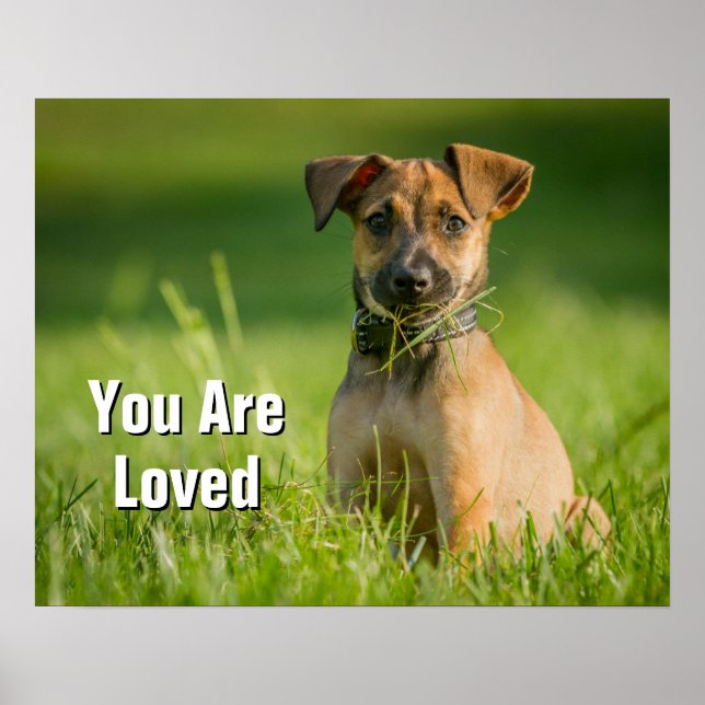 Puppy In The Grass Poster (Front)