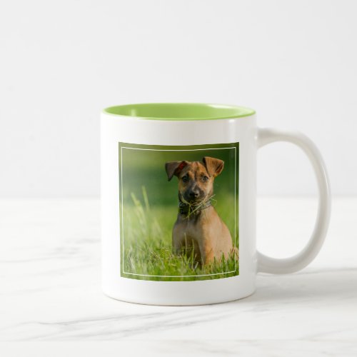 Puppy In The Grass Two_Tone Coffee Mug