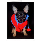 Puppy in Wooly Sweater (Front)