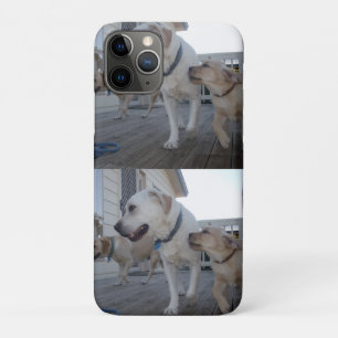 Puppy Kisses: Cream Color Labrador Family Love, iPhone 11 Pro Case