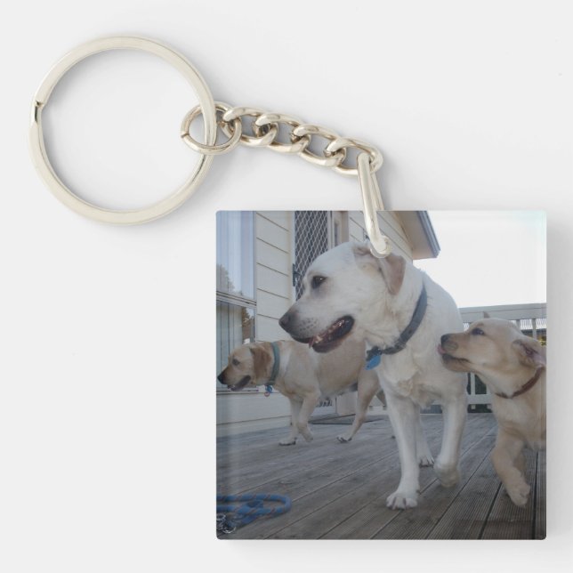 Puppy Kisses: Cream Color Labrador Family Love,  Keychain (Front)