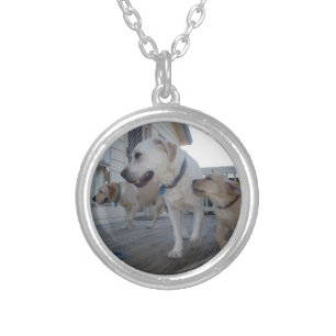 Puppy Kisses: Cream Color Labrador Family Love, Silver Plated Necklace