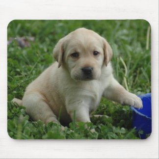 puppy-lab-HD-wallpaper Mouse Pad