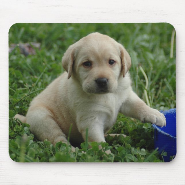 puppy-lab-HD-wallpaper Mouse Pad (Front)