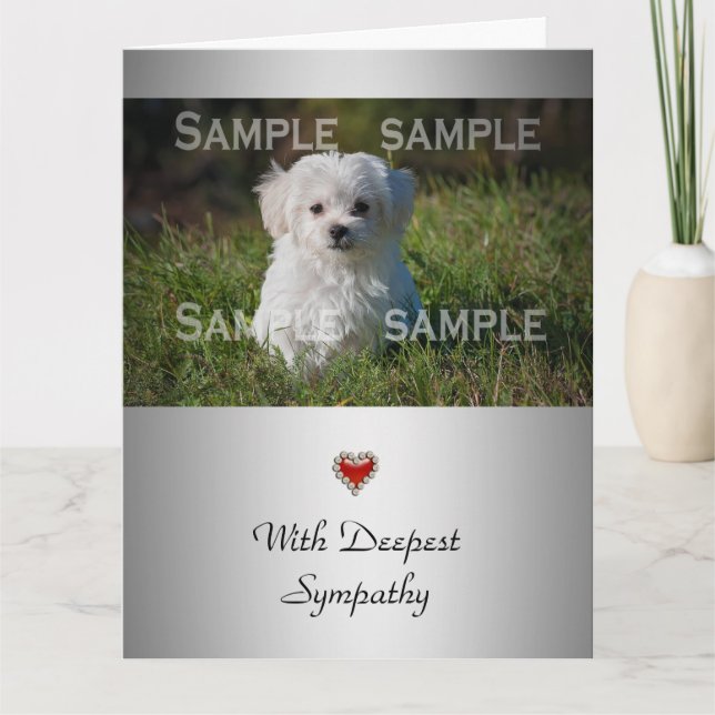 Puppy loss pet memorial condolences photo card (Front)