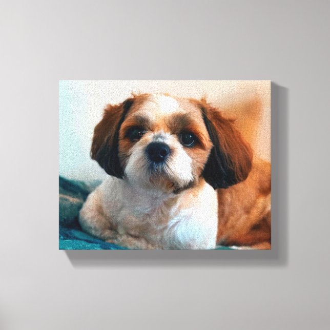 Puppy Love Canvas Print (Front)