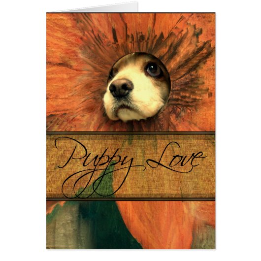 Puppy Love Cards (Front)
