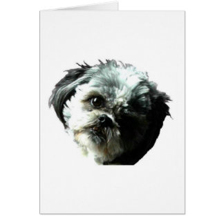 puppy love cards