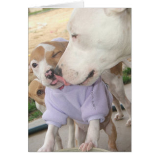 Puppy Love Cards