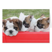 Puppy Love customizable card (Front Horizontal)