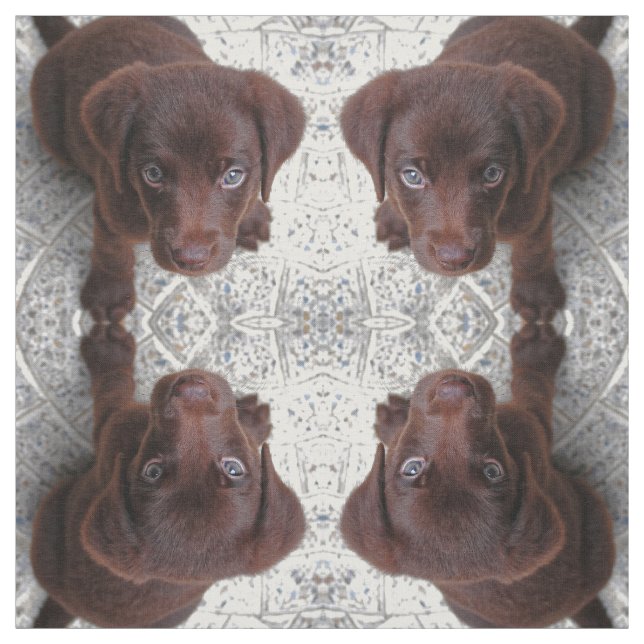 Puppy Love Fabric (Swatch)