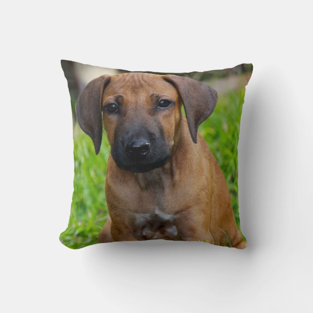 Puppy love IV Throw Pillow (Front)