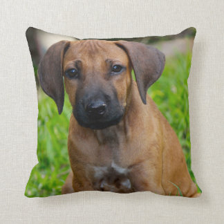 Puppy love IV Throw Pillow