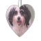 Puppy Love K-Cee Valentine