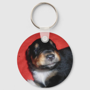 PUPPY LOVE KEYCHAIN