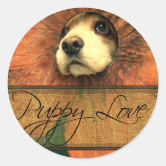 Puppy Love Looking Thru a Fence Classic Round Sticker