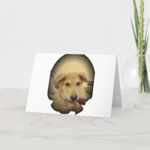 Puppy Love: Man's Best Friend Card